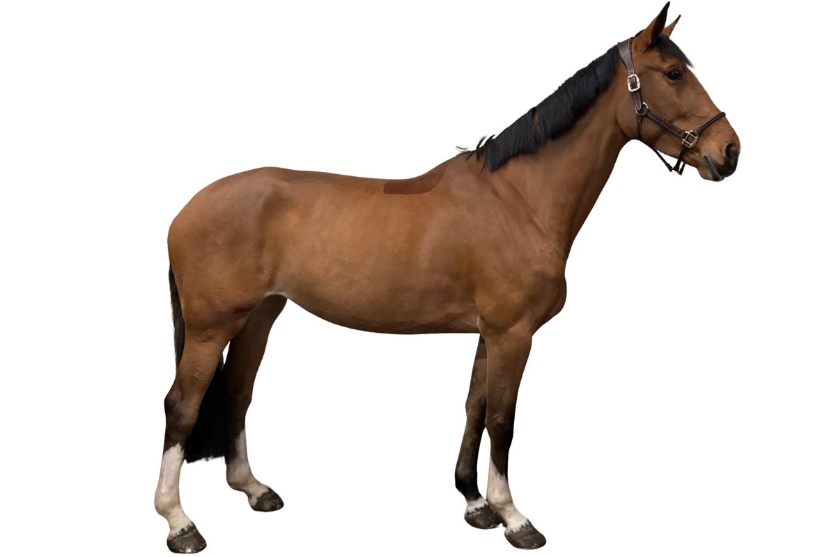 Valerie M — Mare · 5y
