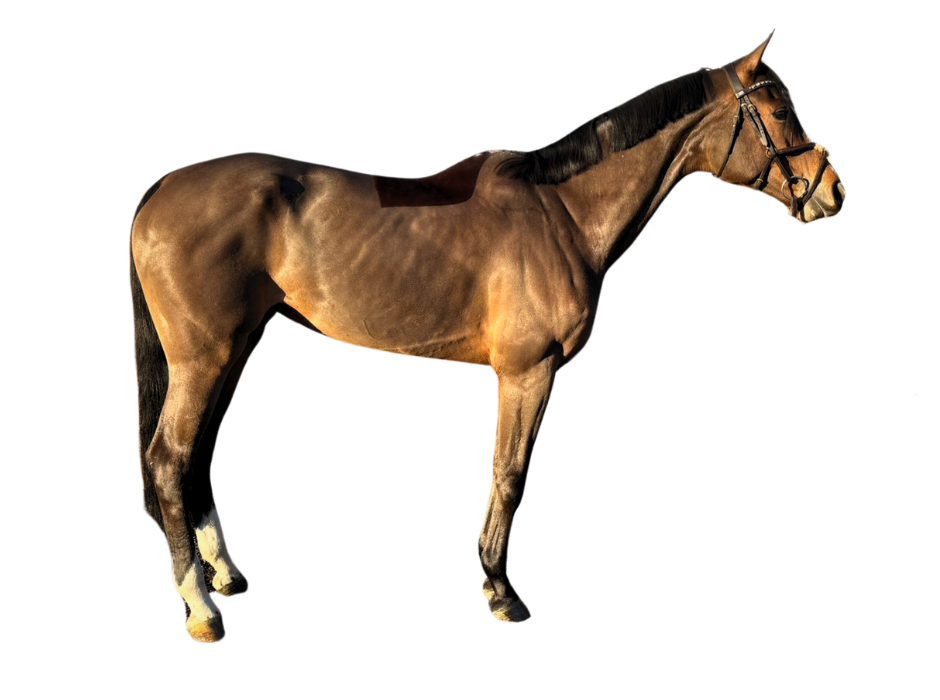Cocoa Beach — Mare · 11y