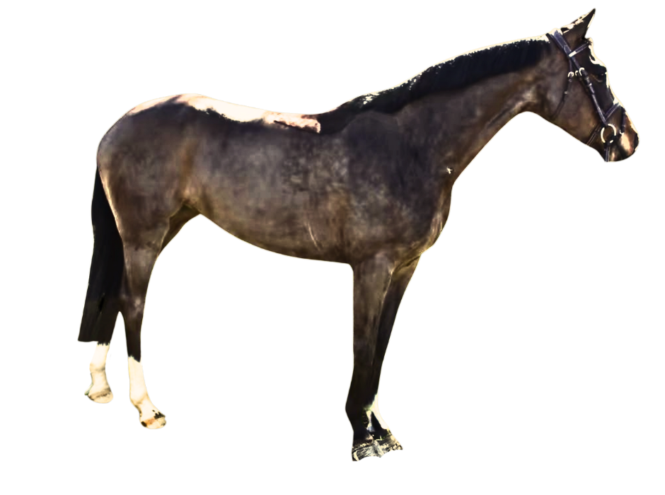 Sun Kiss De Muze — Mare · 8y